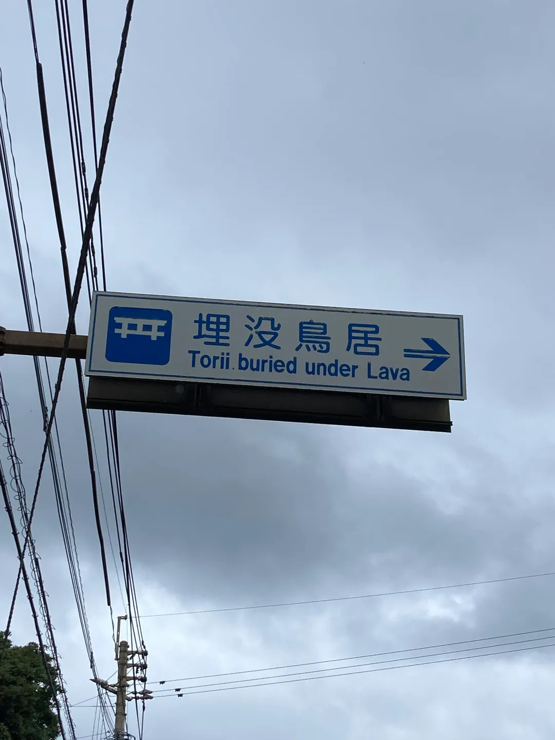 災害の記憶