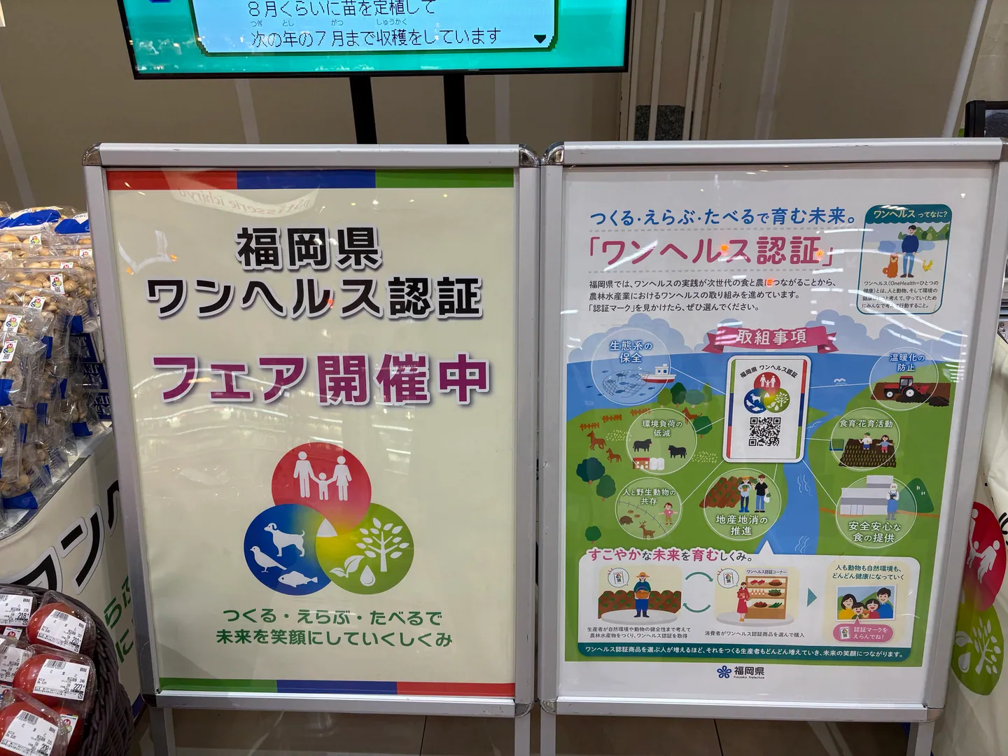 福岡にて